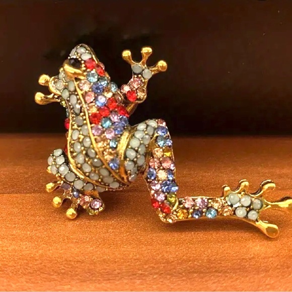 Unique fun design Frog Pin. For clothes, bags, hats and more. - Picture 1 of 2